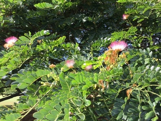 1508202965757.jpg