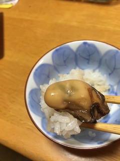 1549546108735.jpg