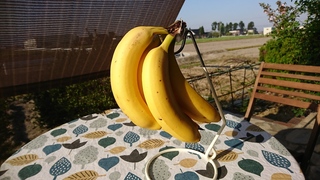 20180422070138.jpg