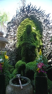 DSC_2244.JPG