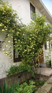 DSC_2317.JPG