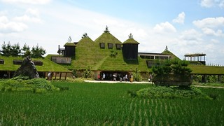 DSC_2984.JPG