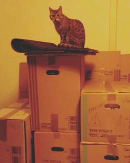 FB_IMG_1516919352176.jpg