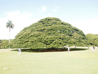 PA133509.JPG