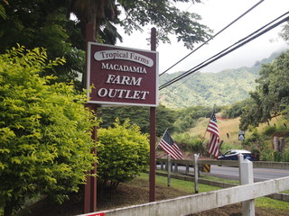 PA133527.JPG