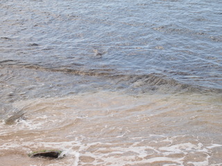 PA133546.JPG
