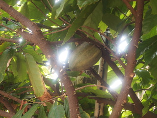 PA133583.JPG