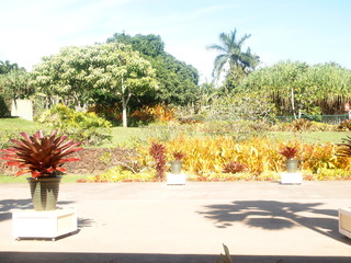 PA133589.JPG